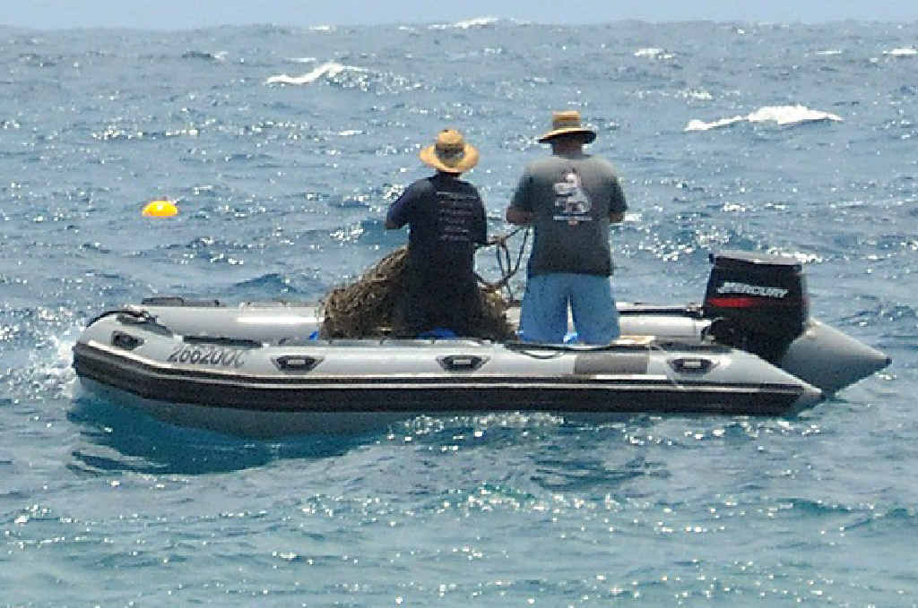 PROTECTION: Shark net contractors check the net that protects Rainbow Beach swimmers from shark attacks. PROTECTION: Shark net contractors check the net that protects Rainbow Beach swimmers from shark attacks.
